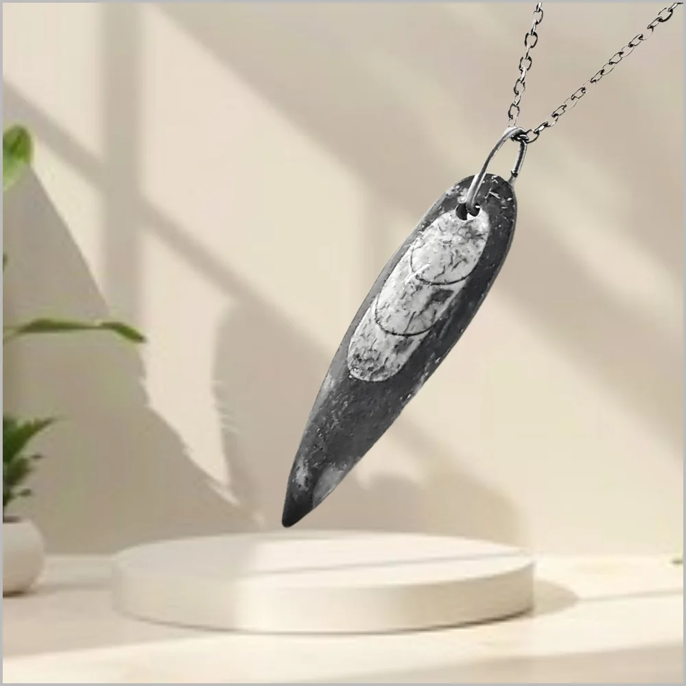 Genuine Orthoceras Fossil Pendant with Stainless Steel Necklace